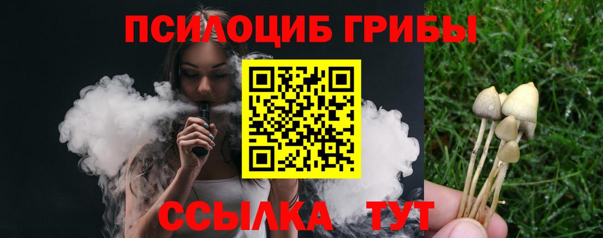 Псилоцибиновые грибы GOLDEN TEACHER  Вход с VPN  что такое наркотик  Галлюциногенные грибы мухоморы  Клинцы 